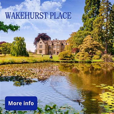 A wild botanic garden in the heart of Sussex